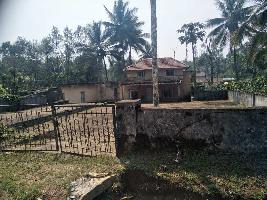  Agricultural Land for Sale in Belur Hassan