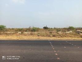  Agricultural Land for Sale in Rajura, Chandrapur