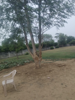 1 BHK Farm House for Sale in Sector 78 Gurgaon