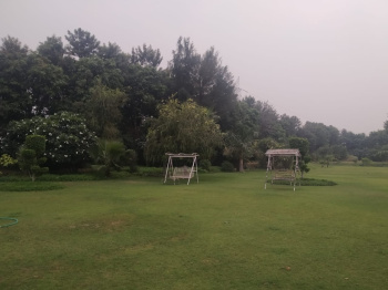  Agricultural Land for Sale in Pataudi, Gurgaon