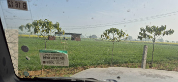  Agricultural Land for Sale in Kishangarh, Alwar