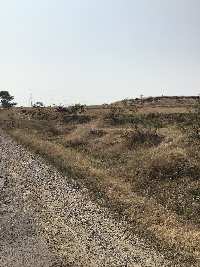  Agricultural Land for Sale in Shikrapur, Pune