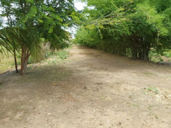  Agricultural Land for Sale in Bavdhan Khurd, Pune