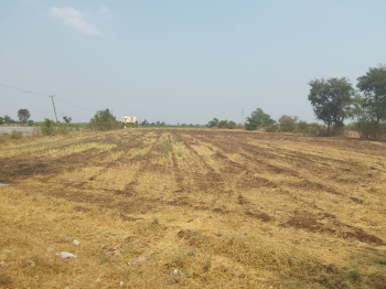  Agricultural Land for Sale in Ranjangaon, Pune