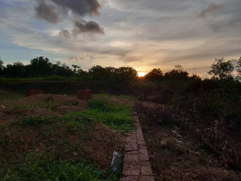 Industrial Land for Sale in Taliparamba, Kannur