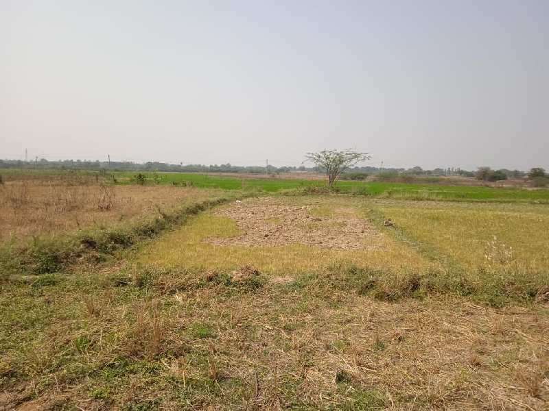  Agricultural Land 2 Acre for Sale in Mansanpalle, Rangareddy