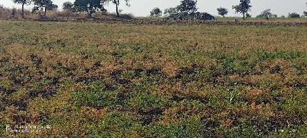  Agricultural Land for Sale in Agar Road, Ujjain