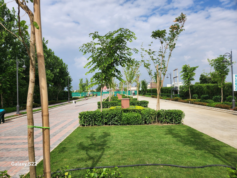  Residential Plot 122 Sq. Yards for Sale in Rudrapur Udham, Udham Singh Nagar