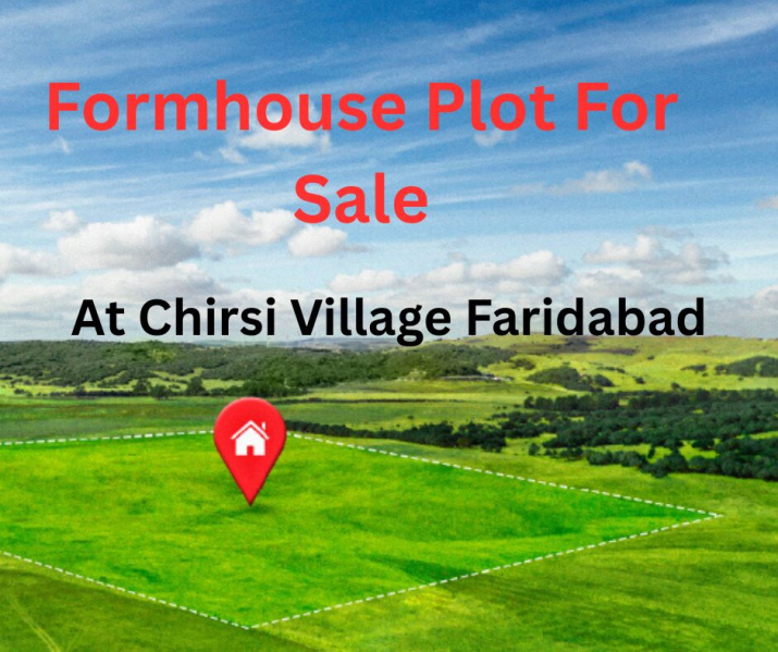  Residential Plot 1450 Sq. Yards for Sale in Manjhawali Village, Faridabad
