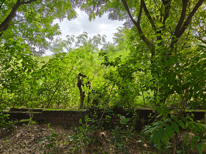  Residential Plot 1450 Sq. Yards for Sale in Manjhawali Village, Faridabad