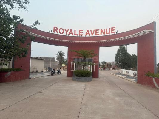  Residential Plot 600 Sq.ft. for Sale in Bhurkoni, Raipur