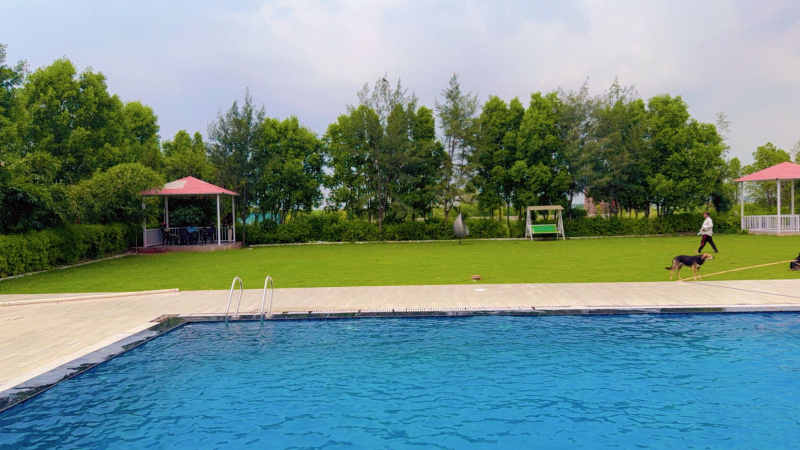 2 BHK 1008 Sq. Yards Farm House for Sale in Techzone 4, Greater Noida