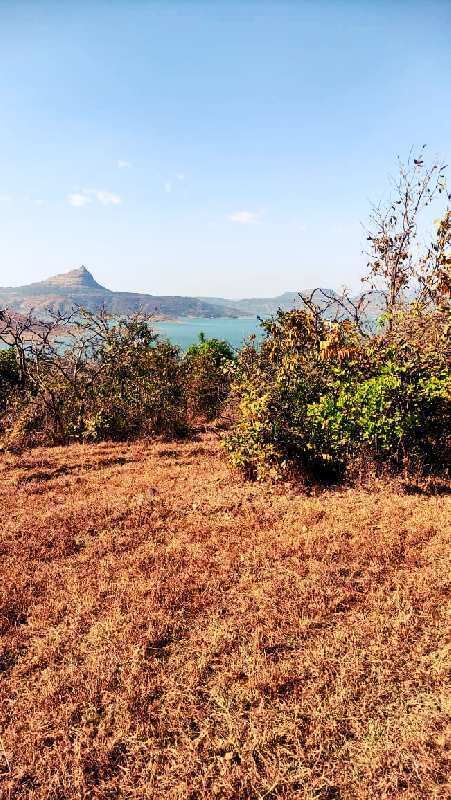  Agricultural Land 100 Acre for Sale in Pavana Lake, Pune