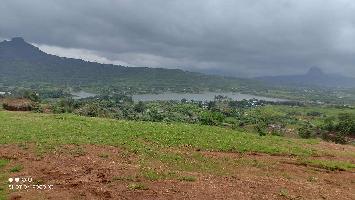  Agricultural Land for Sale in Malavli, Pune