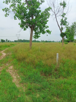  Agricultural Land for Sale in New Moradabad