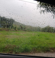  Residential Plot for Sale in Kotabagh, Nainital