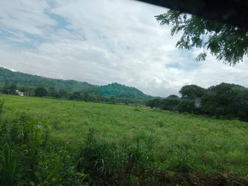  Residential Plot for Sale in Bail Parao, Nainital