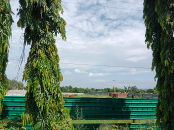  Residential Plot for Sale in Bail Parao, Nainital