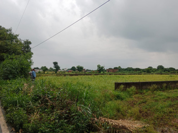  Residential Plot for Sale in Bail Parao, Nainital