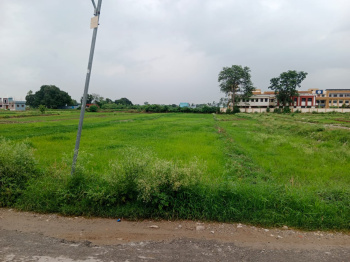  Residential Plot for Sale in Peerumadara, Nainital