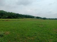  Residential Plot for Sale in Kaladhungi, Nainital