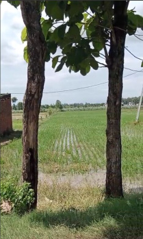  Agricultural Land for Sale in Kichha, Udham Singh Nagar