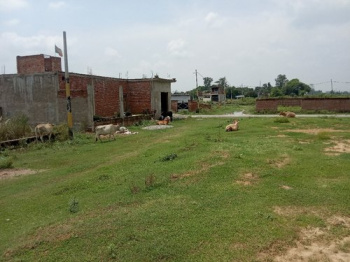  Commercial Land for Sale in Veerbhadra Marg, Rishikesh