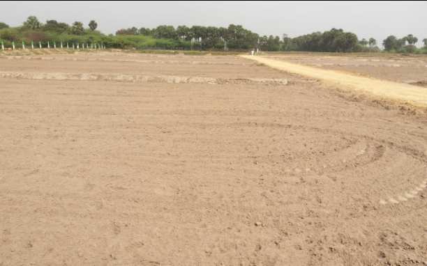  Agricultural Land 10000 Sq.ft. for Sale in Madurantakam, Chennai