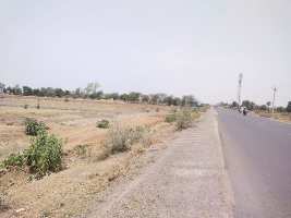  Commercial Land for Sale in Kothi, Satna