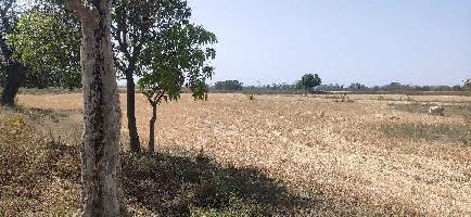  Agricultural Land for Sale in Amarpatan, Satna