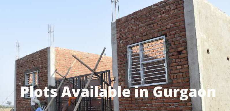 3 BHK House 100 Sq. Yards for Sale in Bhondsi, Gurgaon