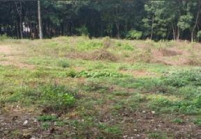  Commercial Land for Rent in Chandol, Kendrapara