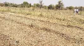  Agricultural Land for Sale in Kapadvanj, Kheda