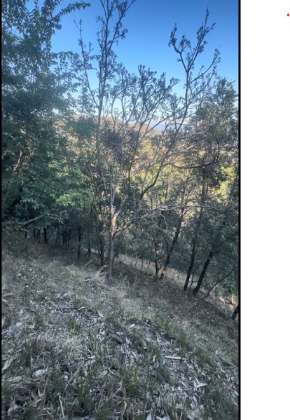  1100 Sq.ft. Agricultural/Farm Land for Sale in Nerchowk, Mandi