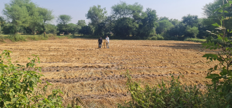  Agricultural Land 24 Guntha for Sale in Mahemdavad, Kheda