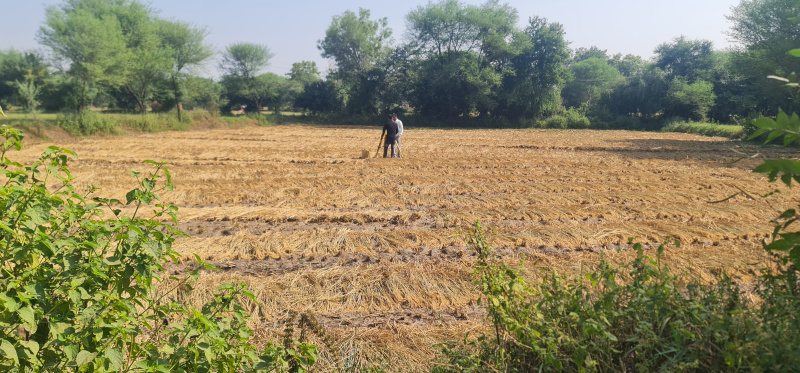  Agricultural Land 24 Guntha for Sale in Mahemdavad, Kheda