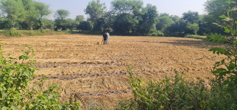  Agricultural Land 24 Guntha for Sale in Mahemdavad, Kheda
