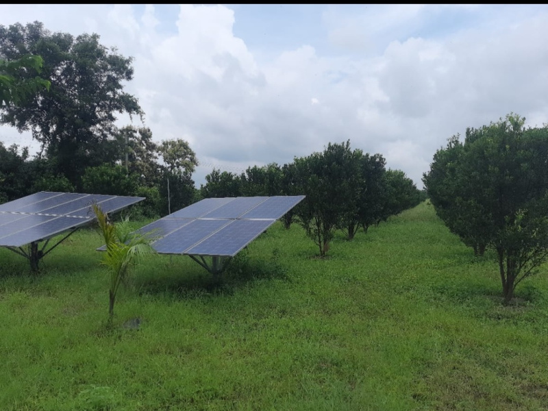 5 Acre Agricultural/Farm Land for Sale in Narkhed, Nagpur