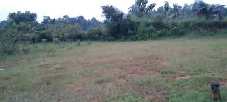  Residential Plot for Sale in Pichanur, Coimbatore