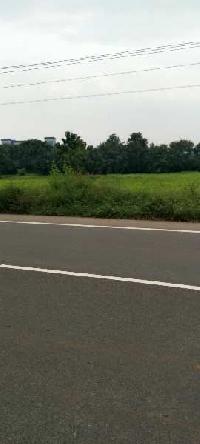  Commercial Land for Sale in Pichanur, Coimbatore