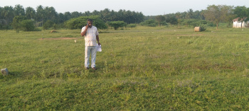  Residential Plot for Sale in Kinathukadavu, Coimbatore