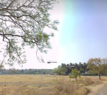  Residential Plot for Sale in Kinathukadavu, Coimbatore