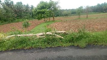  Agricultural Land for Sale in Nachipalayam, Coimbatore