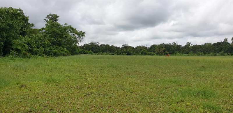 Industrial Land 48 Acre for Sale in Kalgam Bariyawad, Valsad
