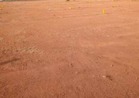  Residential Plot for Sale in Narapally, Hyderabad