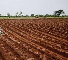  Agricultural Land for Sale in Biloli, Nanded