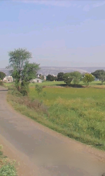  Residential Plot 2800 Sq. Yards for Sale in Chikani, Alwar