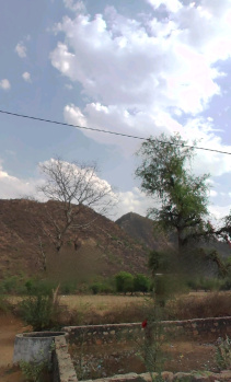  Agricultural Land for Sale in Bansur, Alwar