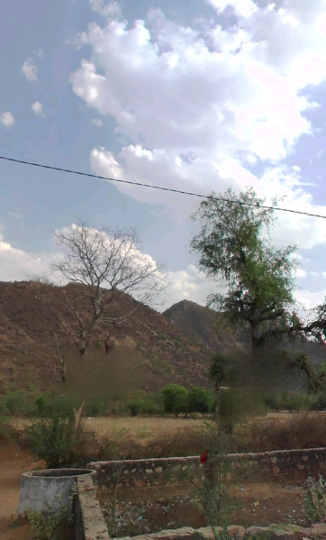  Agricultural Land 15 Bigha for Sale in Bansur, Alwar