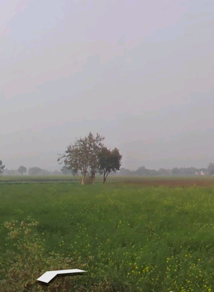  1 Bigha Agricultural/Farm Land for Sale in Alwar Mega Highways